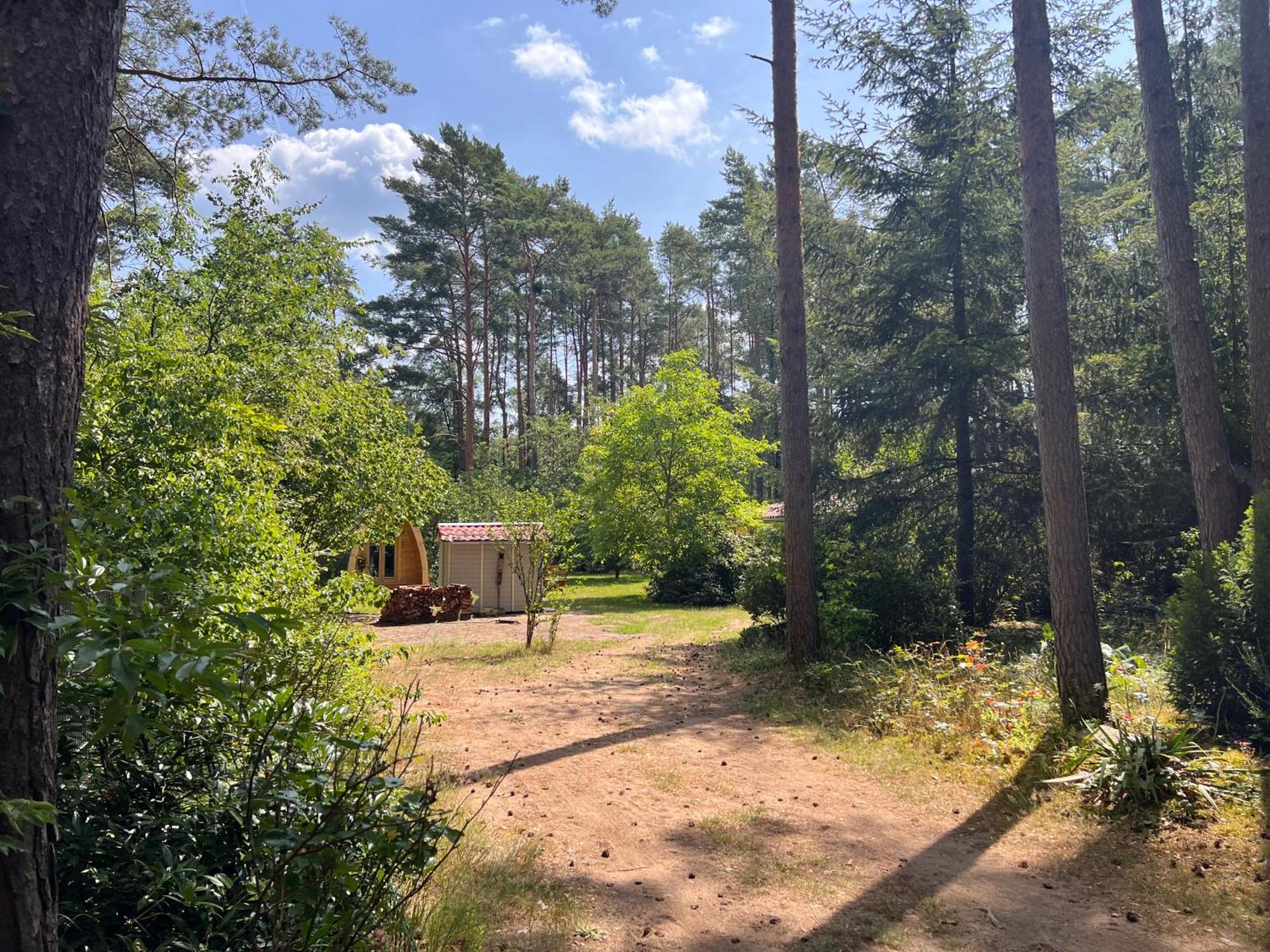 Ferienhaus Im Wald Borkwalde Exterior photo