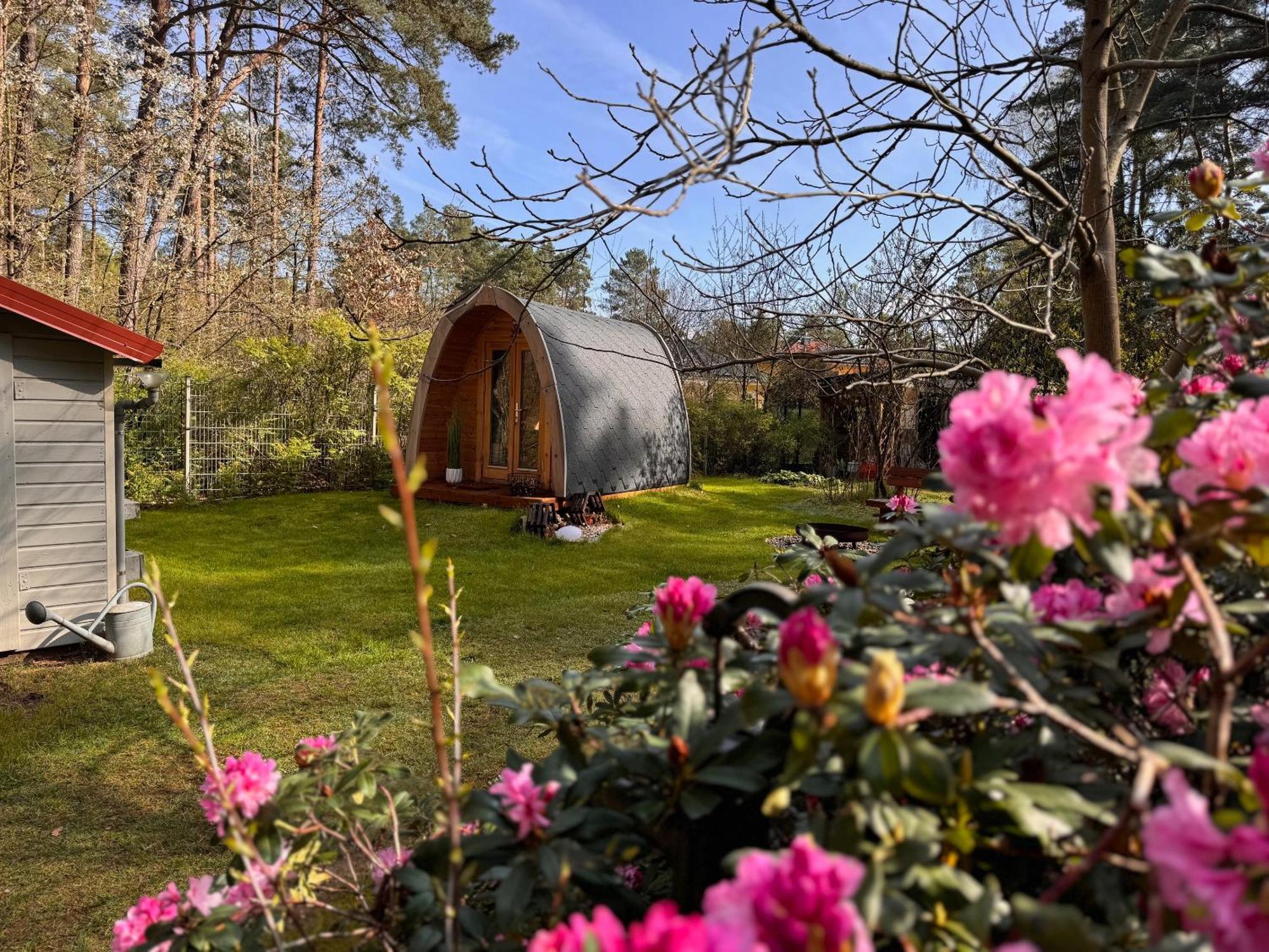 Ferienhaus Im Wald Borkwalde Exterior photo